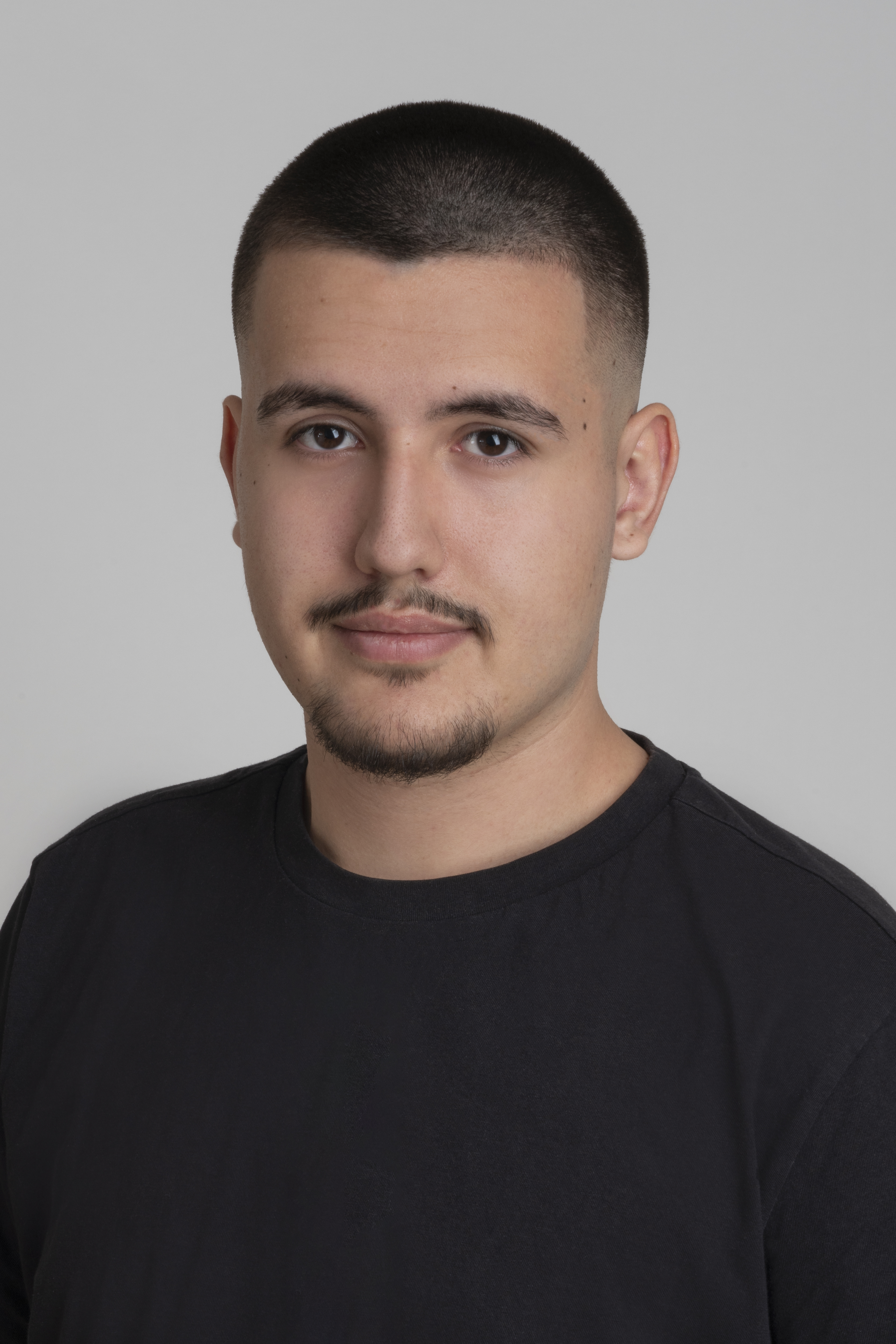 Luka Brankovic